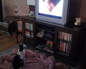 Luna watching TV Julie Andrews love scene Torn Curtain